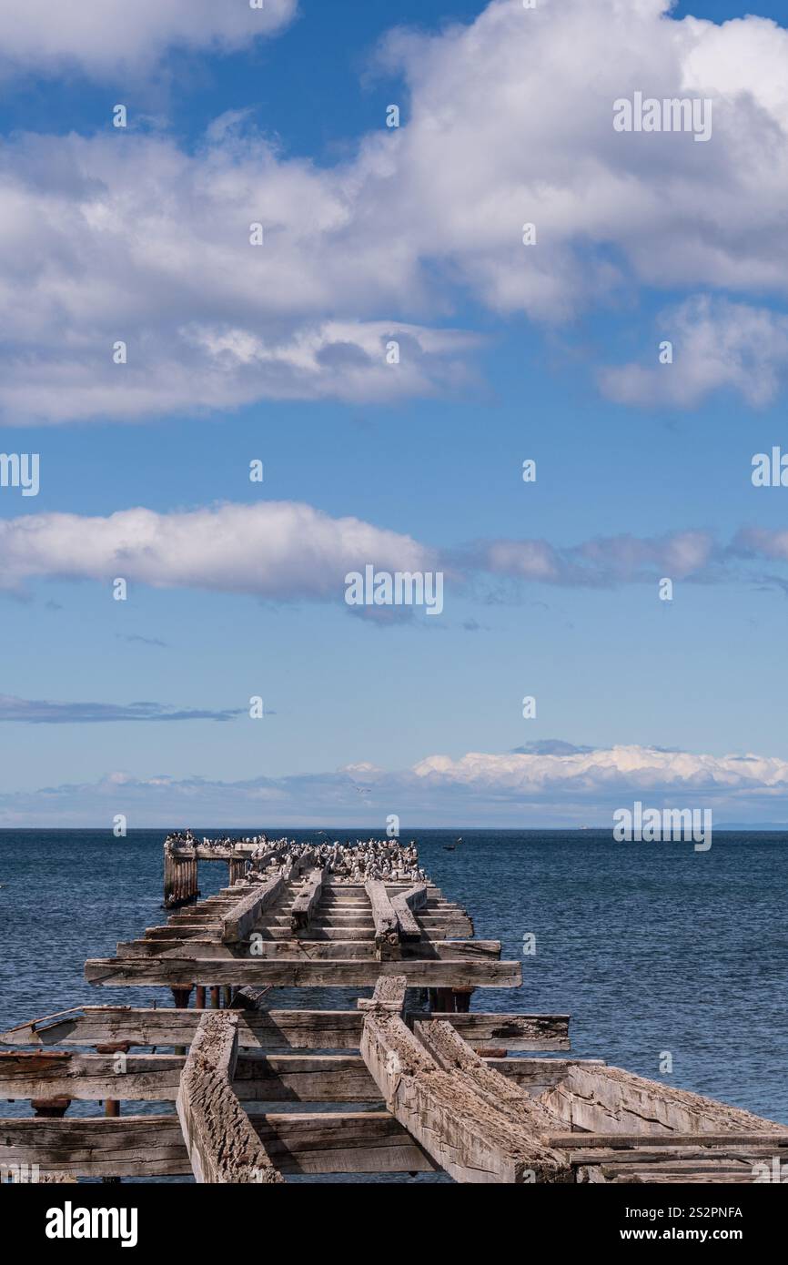 Tele eines alten Piers an der Küste der magellan-Straße nea Punta Arenas, chile. Der Pier ist mit kaiserlichen Komoranten besetzt - Leucocarbo Atriceps. Stockfoto