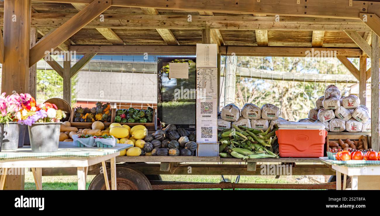 Ehrenstand in bridgehampton, ny Stockfoto