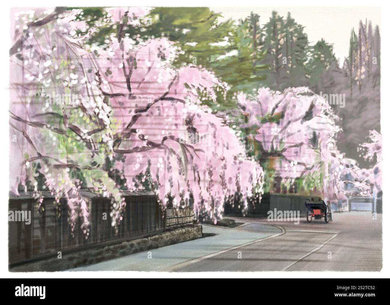 Kakunodate Samurai Residenz mit weinenden Kirschbäumen und Rikscha Stockfoto