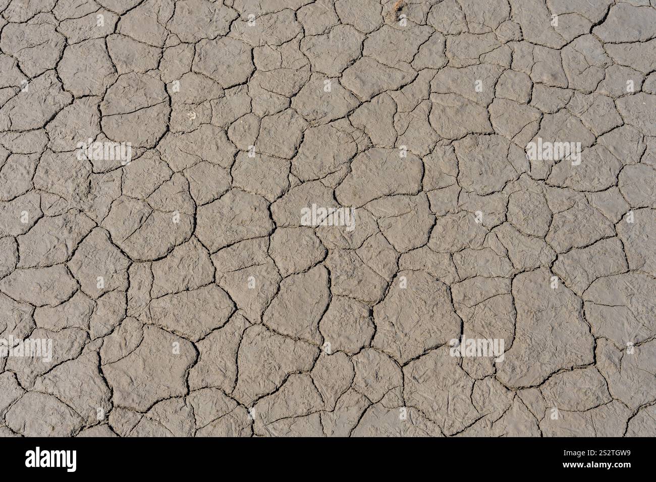 Trockene, rissige Erdstruktur schafft eine vertrocknete Landschaft, die die Auswirkungen von Dürre und Wasserknappheit unterstreicht Stockfoto