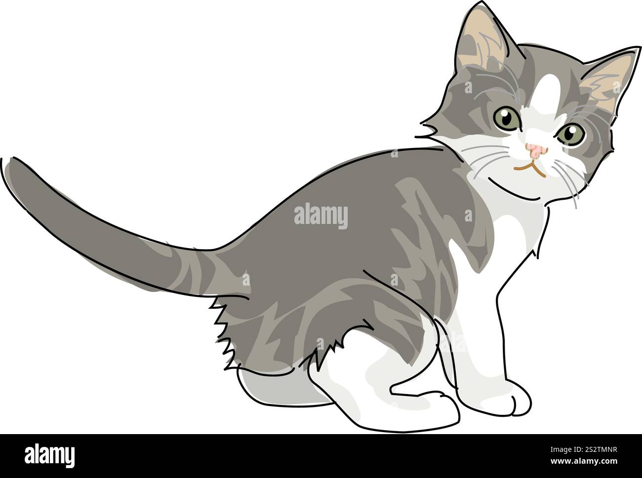 Katze Norwegische Waldkatze Stockfoto