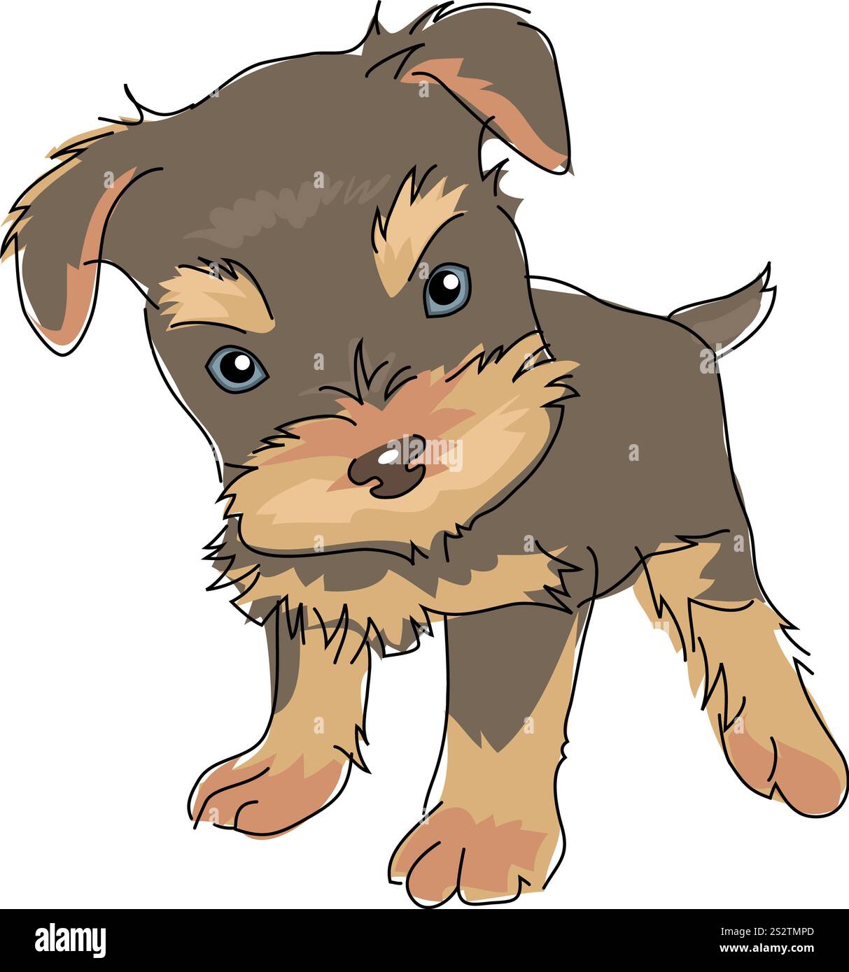 Hund Yorkshireterrier Stockfoto
