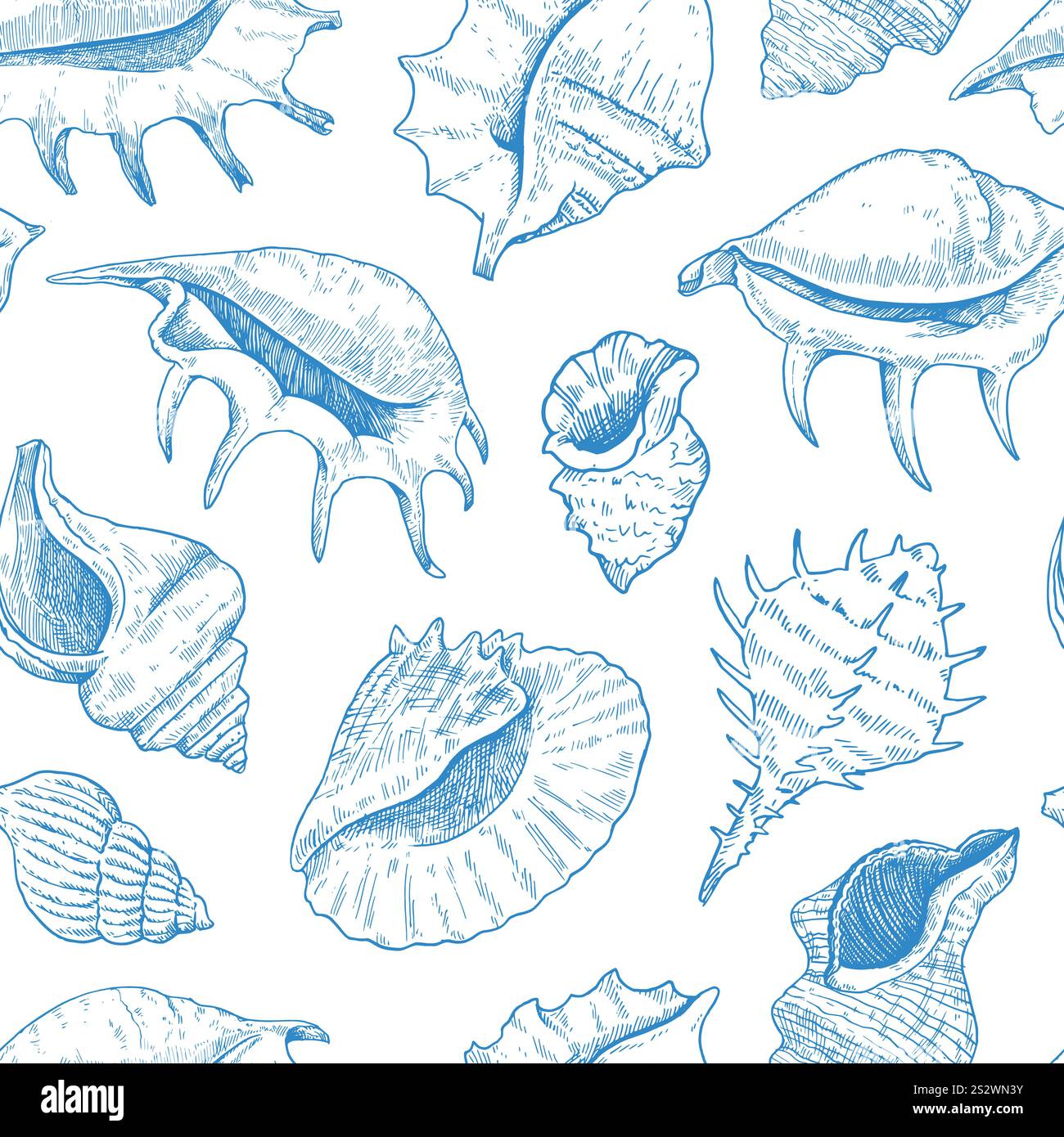 Nahtloses Muster mit Schalen. Detaillierte Schwarzweiß-Tintenabbildungen für Design. Stock Vektor