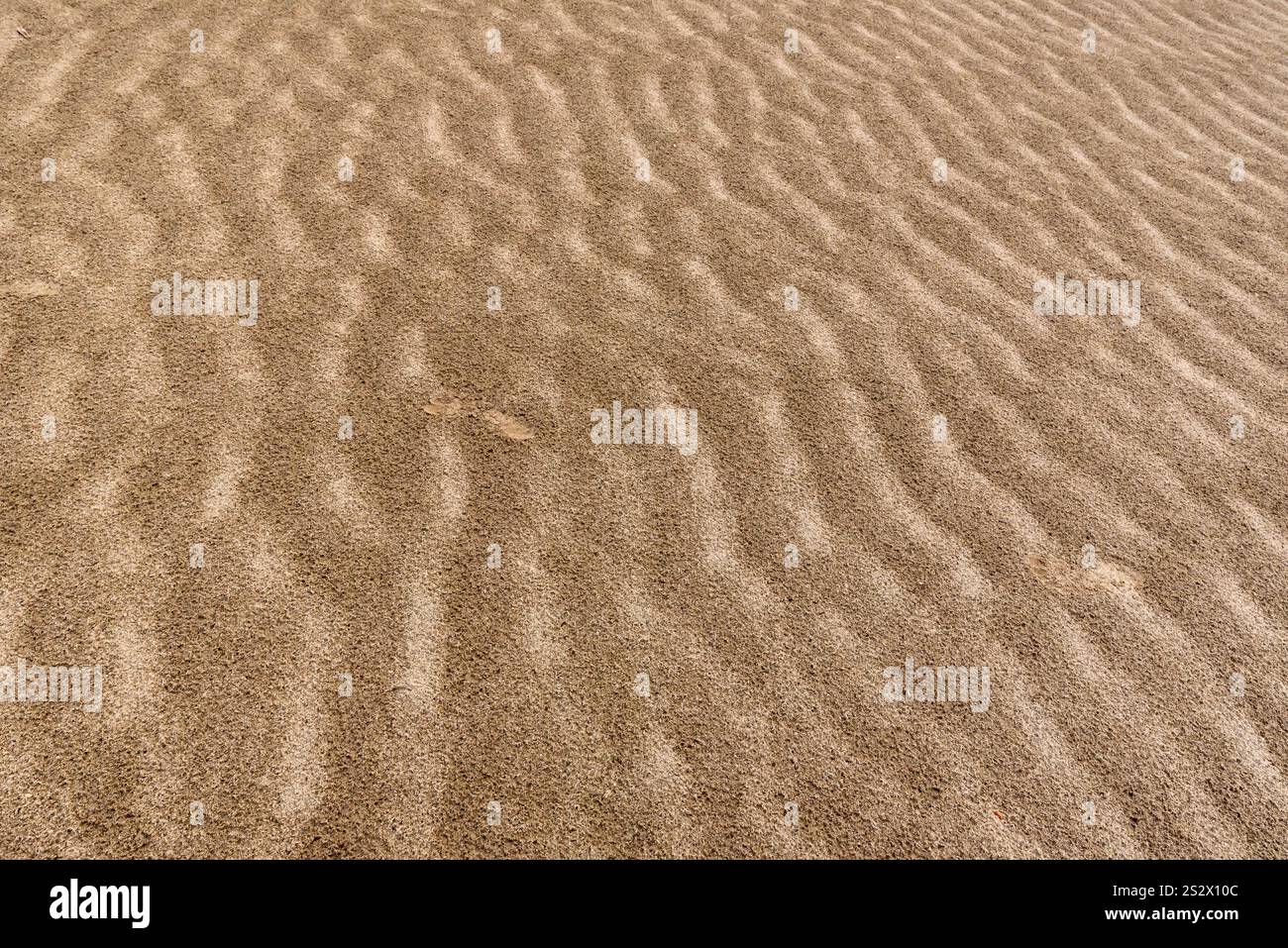 Ein Sandschelf in der Mitte des Amazonas-Flusses. Puerto Nariño, Amazonas, Kolumbien Stockfoto