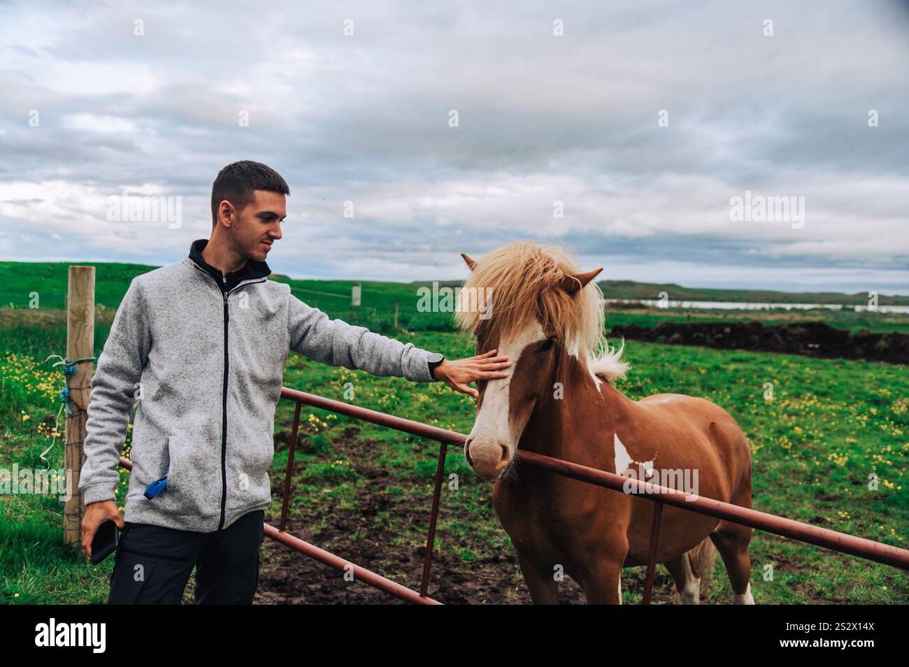 Ein glücklicher Mann streichelt ein wildes Pferd in einem Nationalpark in Island. Ein Mann freundet sich mit einem Pferd in einem Nationalpark in Island an. Stockfoto