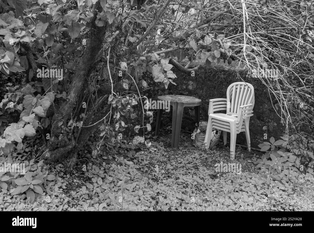 Kunststoffsessel, Issigeac, Dordogne, Frankreich Stockfoto