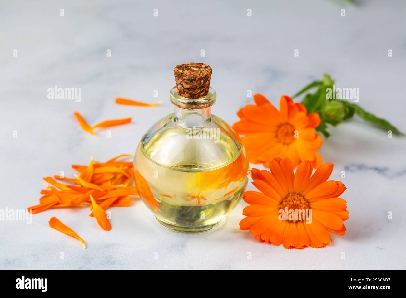 Pflanzliche Calendula officinalis im Glas und Tropfenöl. Calendula-Öl. Stockfoto