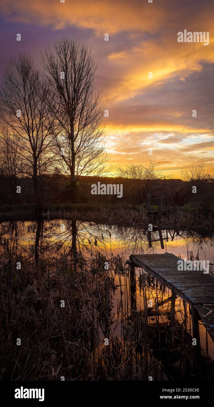 Sonnenaufgang über einem kleinen See in Shropshire Stockfoto