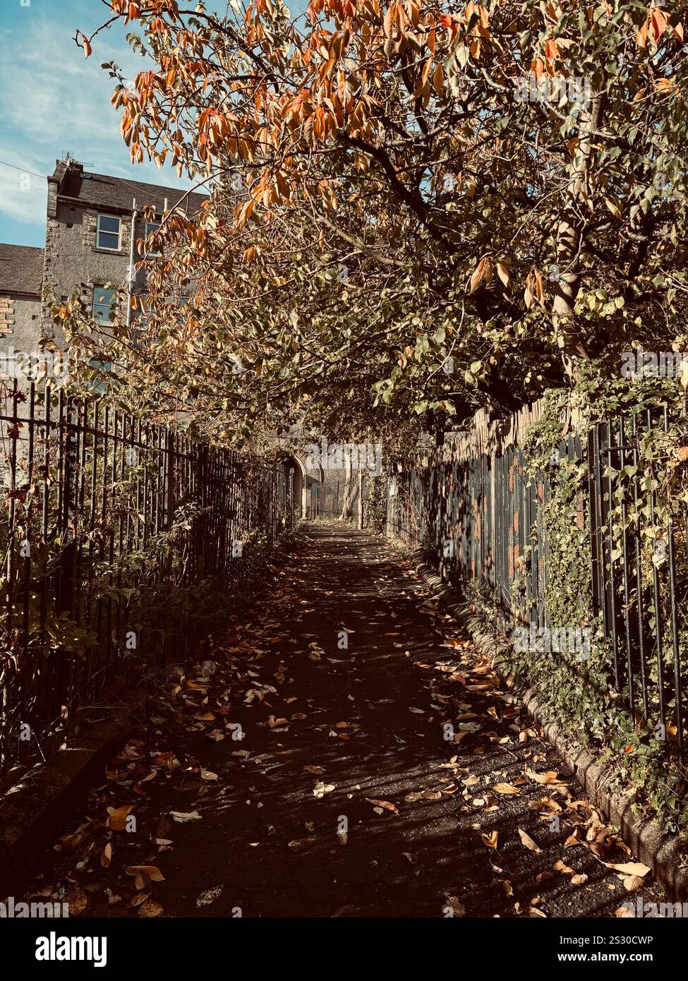 Ein von Herbstlaub gesäumter Pfad schlängelt sich durch eine Stadtlandschaft. - Smartphone-aufgenommenes Stockfoto