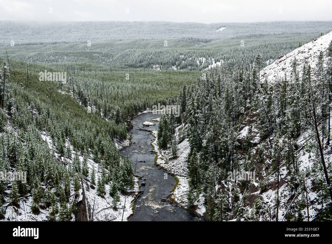 Yellowstone River im Winterschnee, Yellowstone National Park, Wyoming, USA. Stockfoto