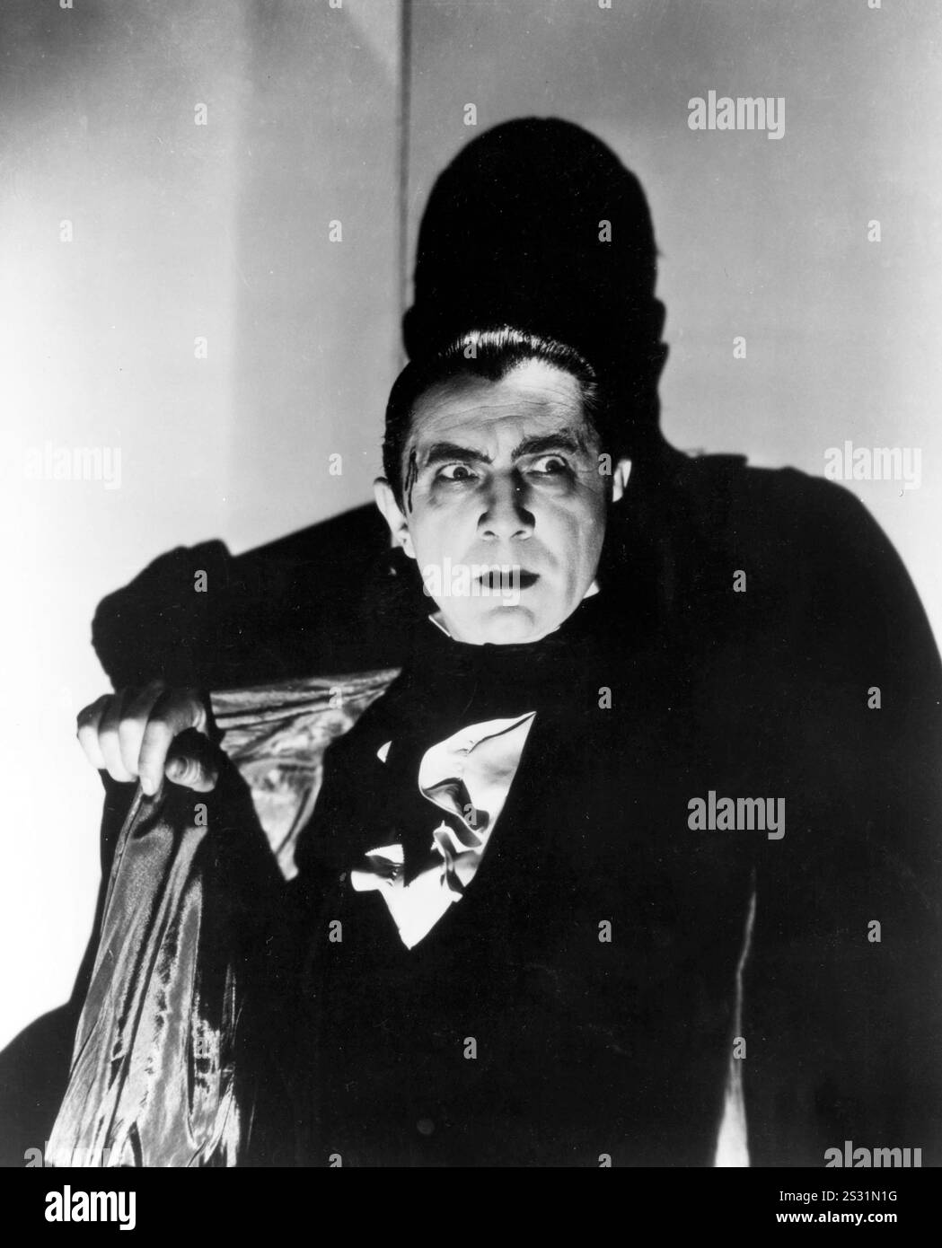 DRACULA UNIVERSAL BELA LUGOSI BILD BILDEN DIE RONALD GRANT ARCHIV Datum: 1931 Stockfoto