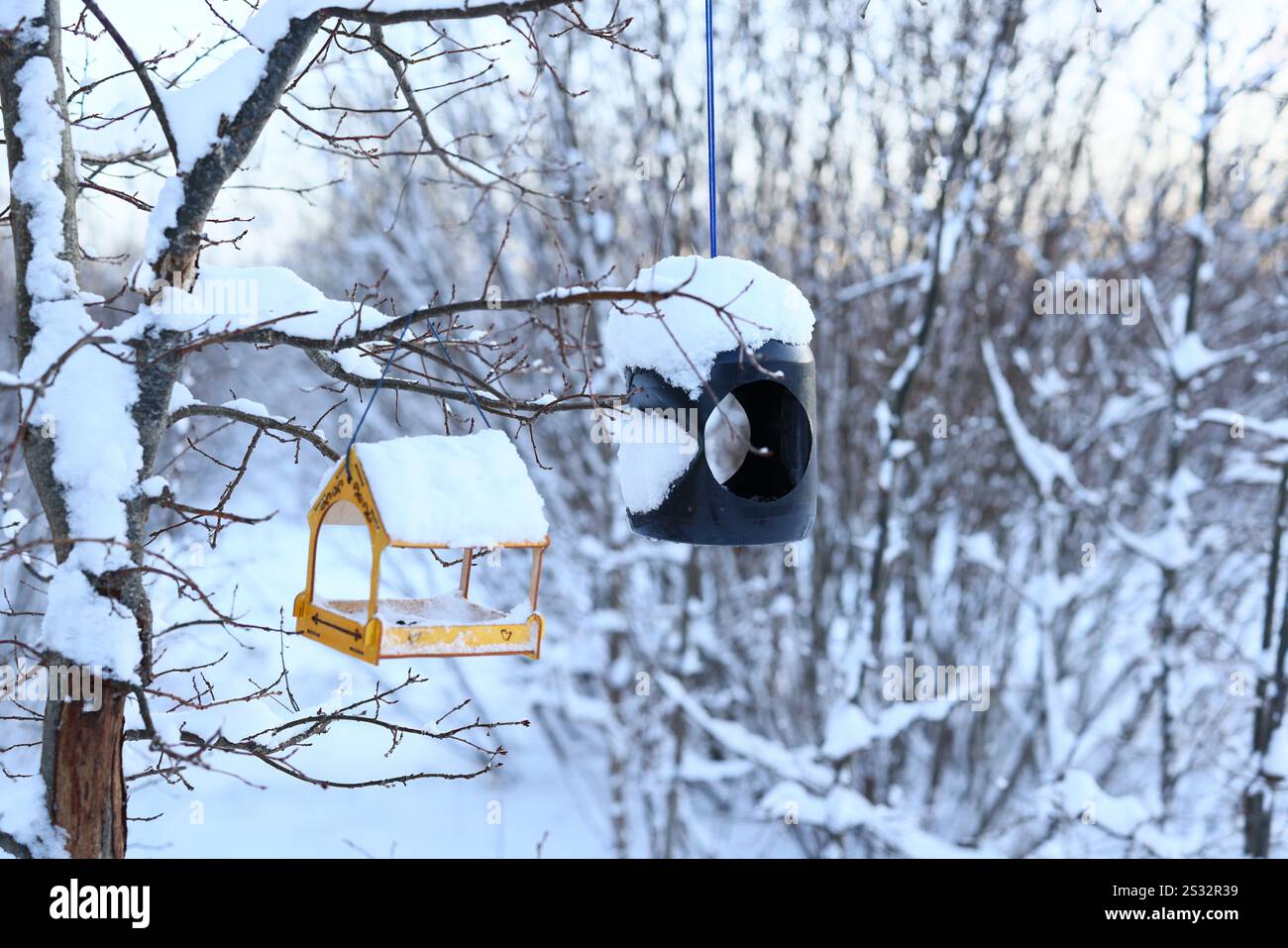 Eine wunderschöne Winterszene mit Vogelfütterern vor einem verschneiten Hintergrund Stockfoto