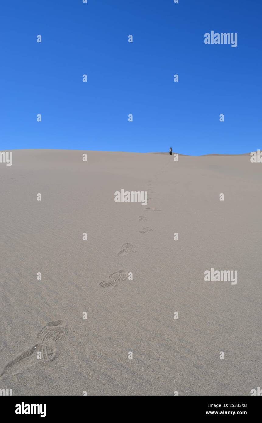 Ein einsamer Wanderer erklimmt die höchsten Sanddünen, eingerahmt von einem hellblauen Himmel, und hinterlässt eine Spur voller Spuren im Great Sand Dunes NP. Stockfoto