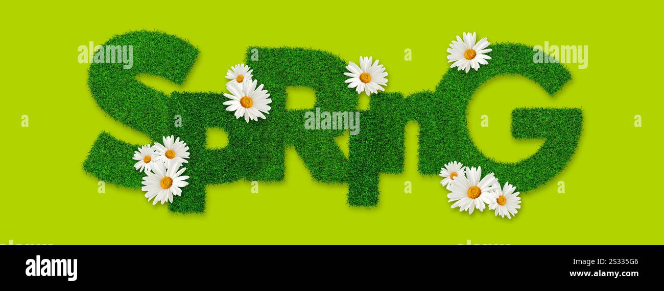 Frühlingstext Wortbeschriftung mit Rasengrün Gras Textureffekt mit Gänseblümchen Blumen, isoliert auf grünem Hintergrund Stockfoto