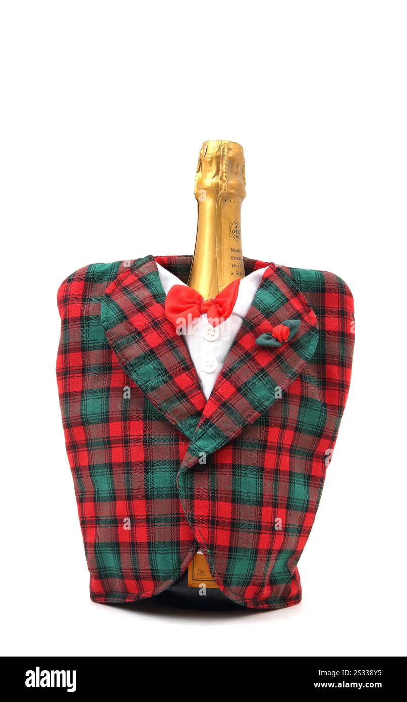 Weihnachtlicher Weinflaschendeckel mit Schleife Stockfoto