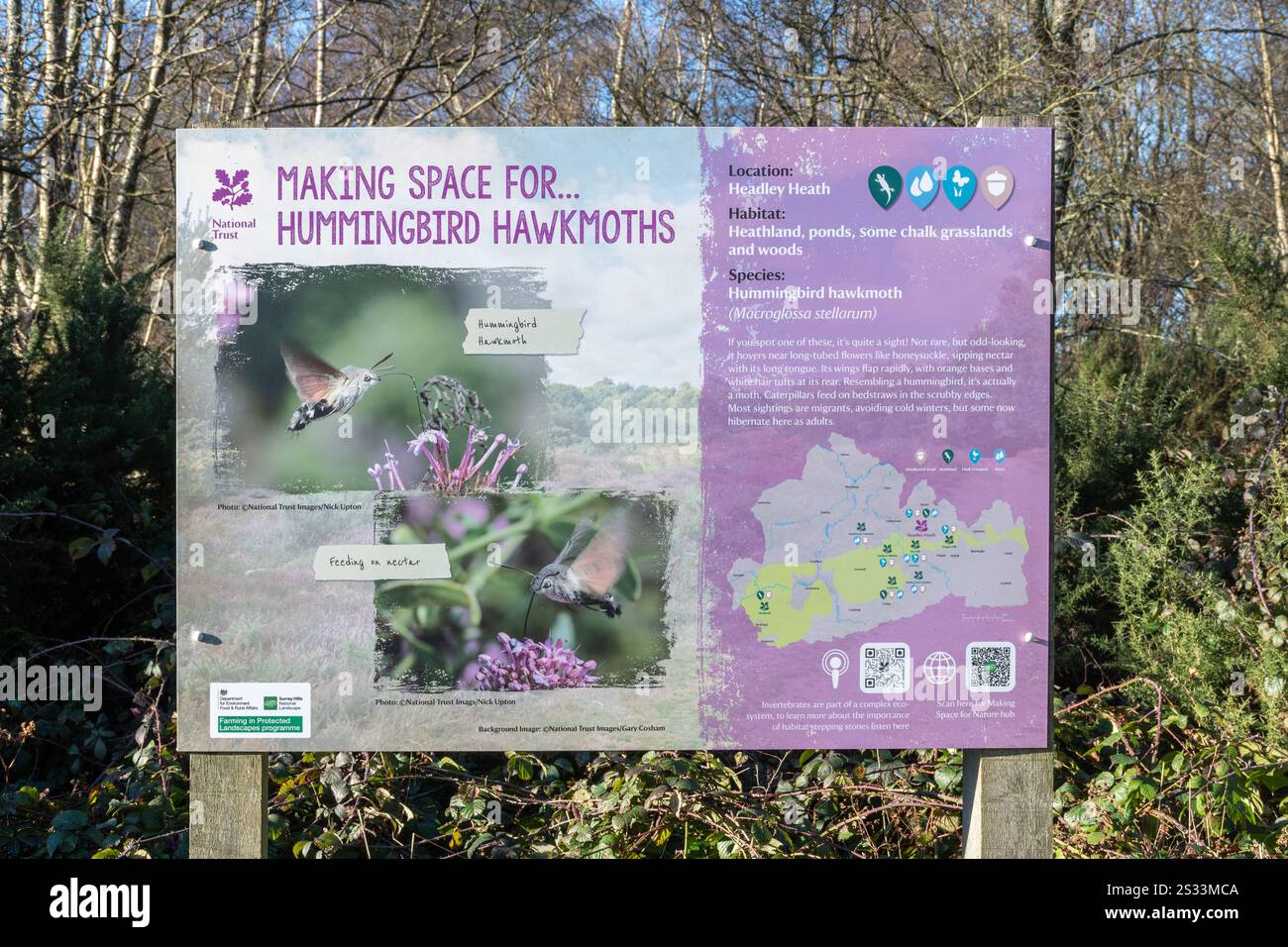 Informationstafel zum Schutz von Kolibri-Krauts in Headley Heath, Surrey, England, Großbritannien Stockfoto