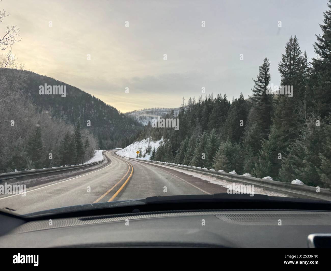 Montana-Bäume mit Gletscherpark im Hintergrund - Smartphone-aufgenommenes Stockfoto