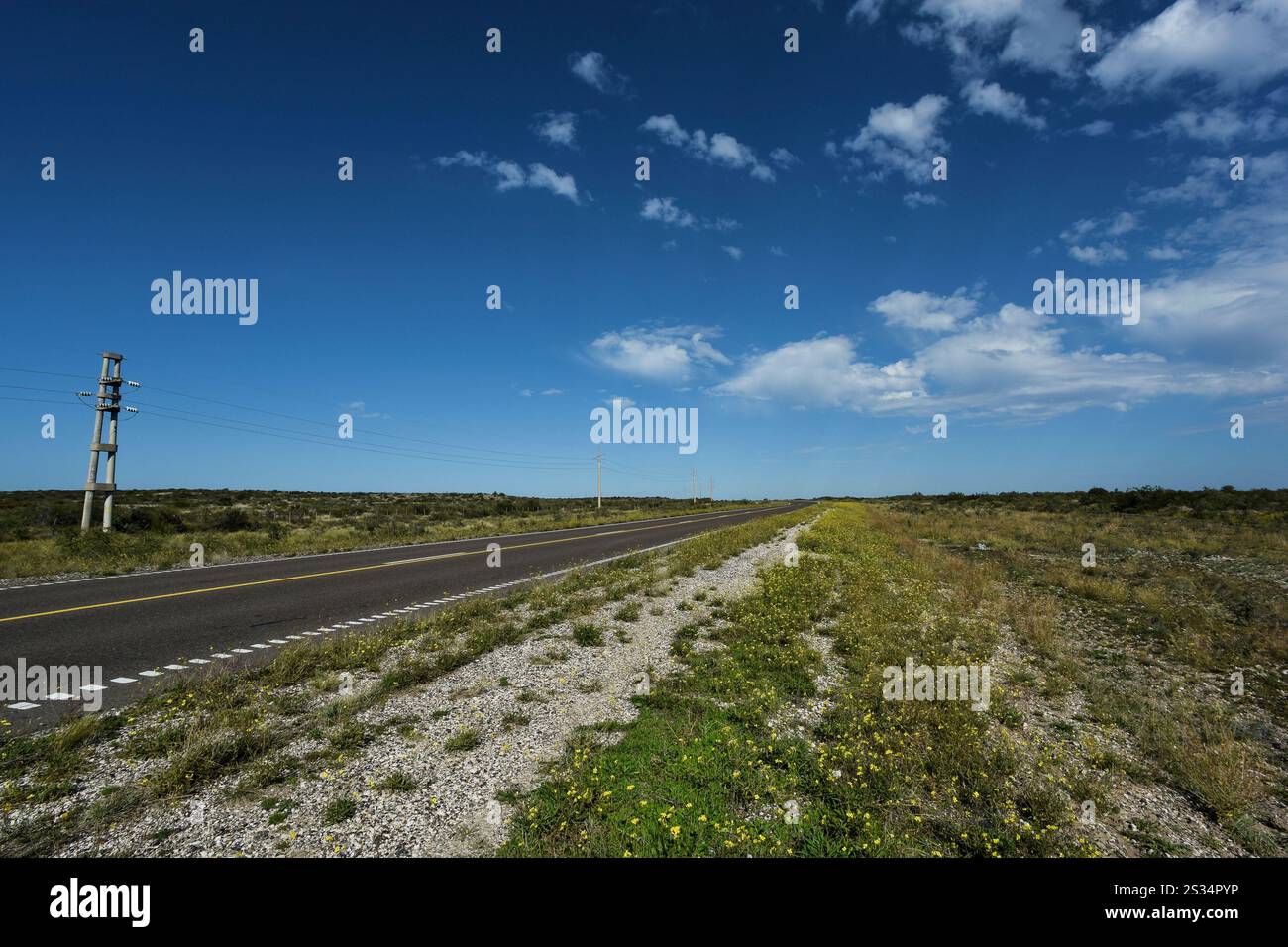 Straße in Puerto Madryn, Provinz Chubut, Patagonien, Argentinien. Stockfoto