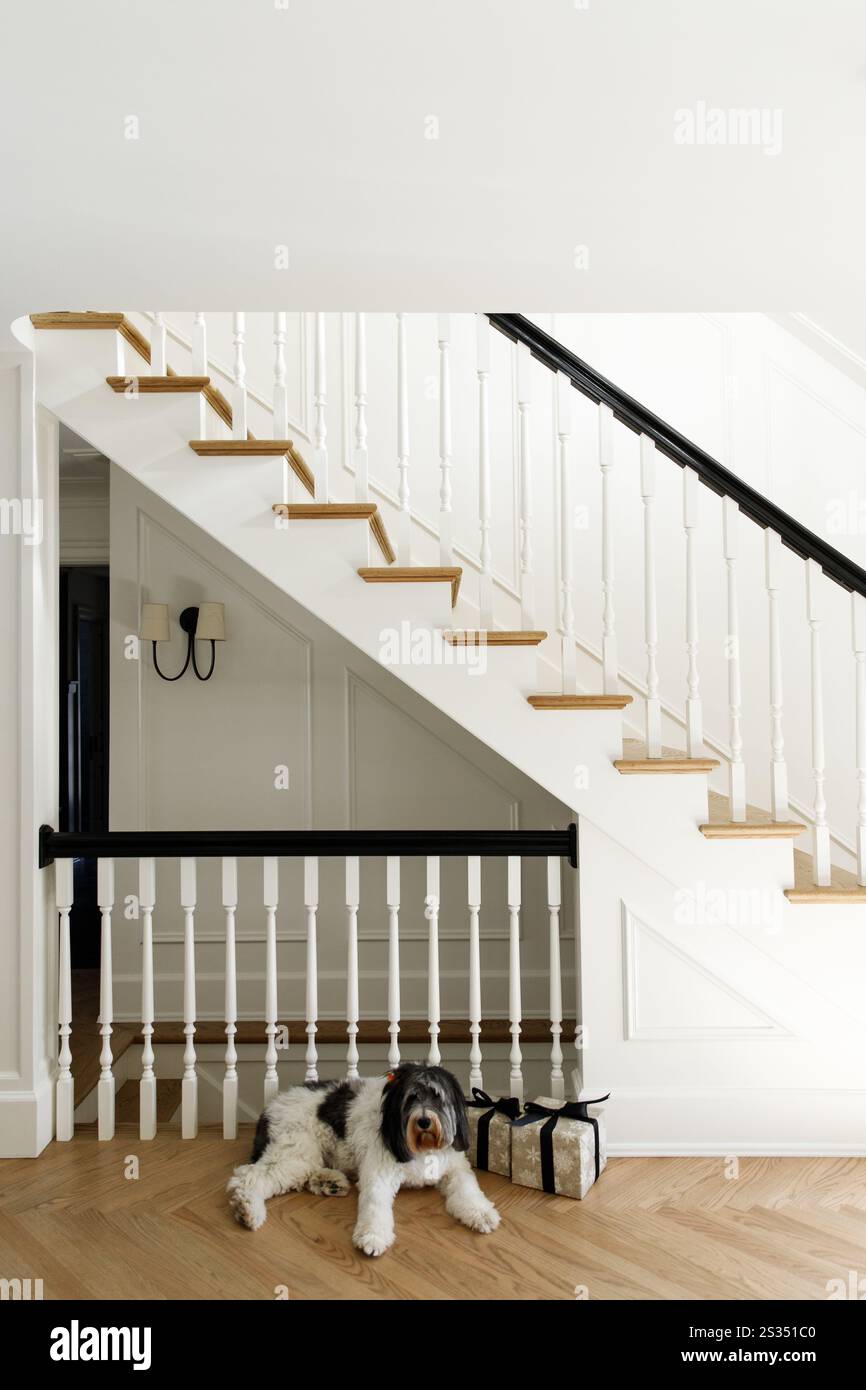 Modern gestaltete Häuser für Familien Stockfoto