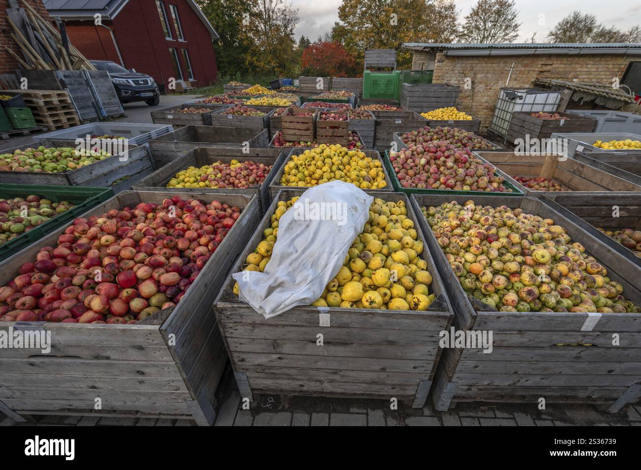 Kisten mit Früchten an den Hof einer Zigerei, Mecklenburg-Vorpommern, Deutschland, Europa Stockfoto