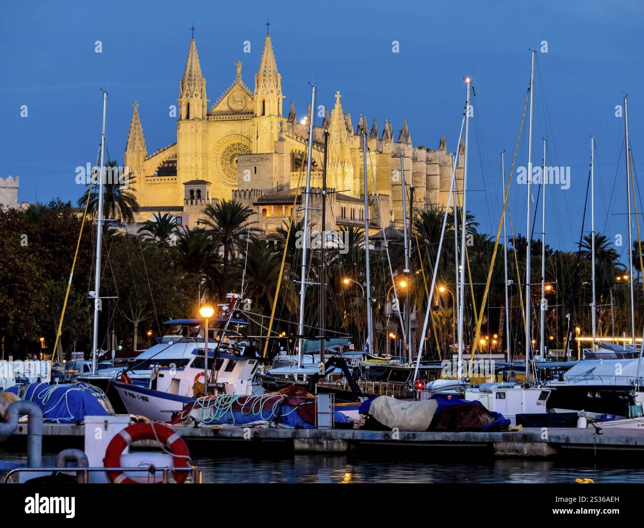 Spanien, Mallorca, Palma. La Seu Kathedrale als Touristenattraktion im Stadtzentrum. Österreich, Europa Stockfoto