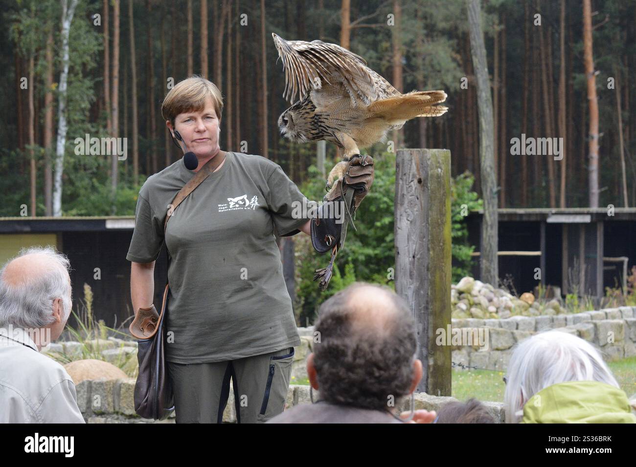 Falknerin Ilka Simm-Schönholz mit Scheuneneule im Falknerzentrum Potsdam Stockfoto