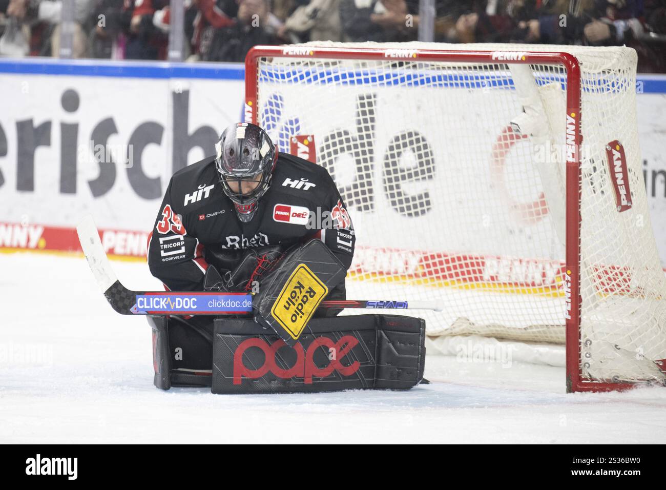 Köln, LanxessArena, Nordrhein-Westfalen, Julius Hudacek (Cologne Sharks, #35), PENNY DEL, Cologne Sharks- Eisbaeren Berlin am 01/2025 Stockfoto