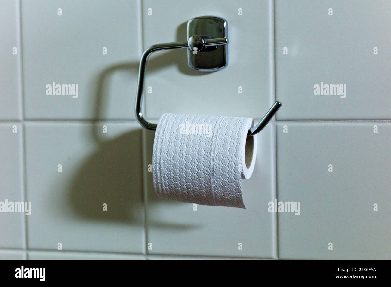 Toilettenpapier in der Toilette, symbolisches Foto für Hygiene- und Infektionswege Osterreich Stockfoto