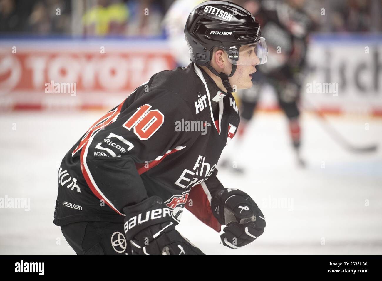 Köln, LanxessArena, Nordrhein-Westfalen, Justin Schuetz (Cologne Sharks, #10), PENNY DEL, Cologne Sharks- Eisbaeren Berlin am 01/2025 Stockfoto