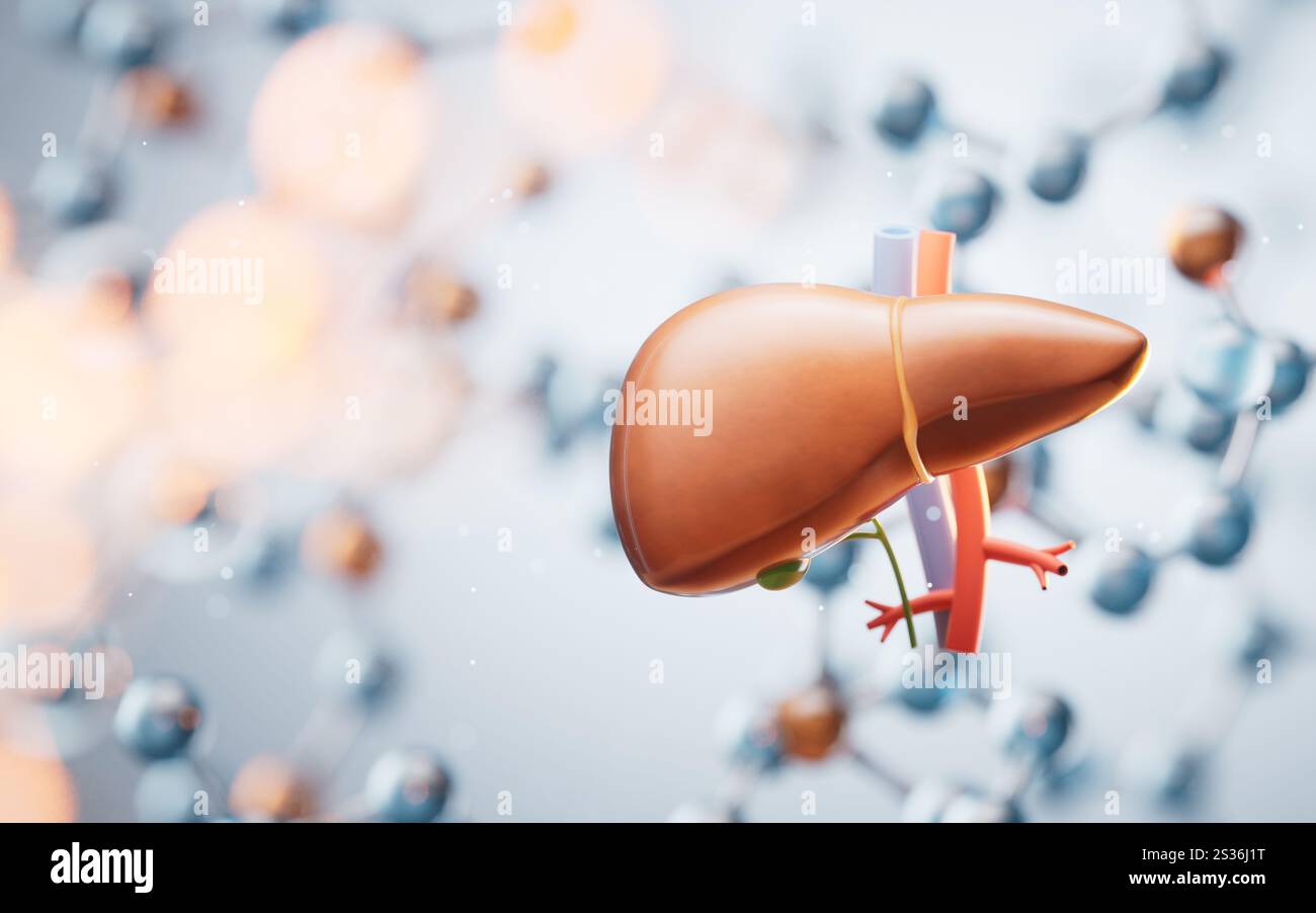 Leber mit transparentem Molekülhintergrund, 3D-Rendering. 3D-Abbildung. Stockfoto
