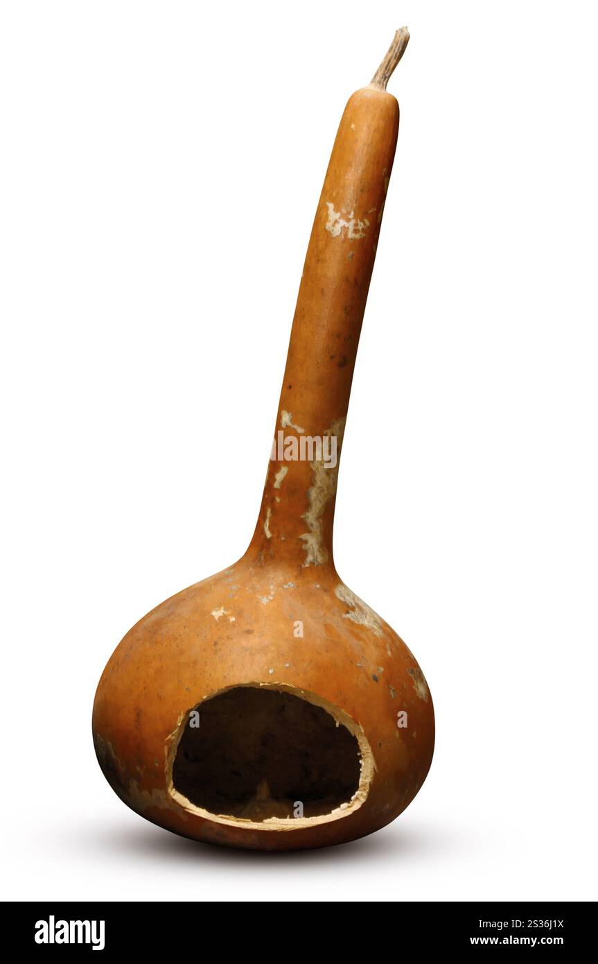 Krasokoloka: Getrockneter hohler Kürbis, der zum Servieren von Wein verwendet wird. Zypern. Isoliert auf weißem Hintergrund mit Beschneidungspfad. Stockfoto