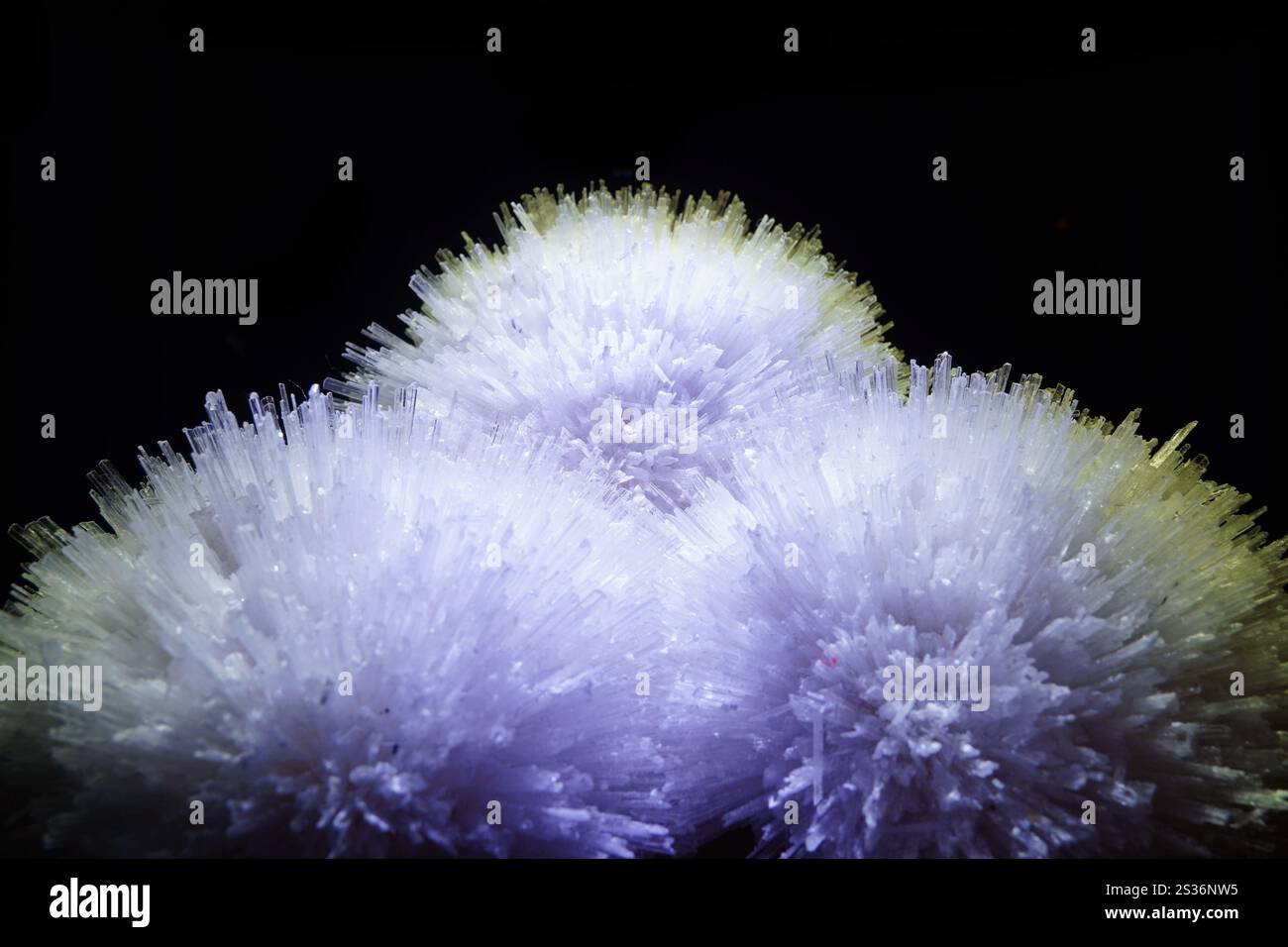 Ein weißes Mineral mit einer radial wachsenden Kristallstruktur Stockfoto