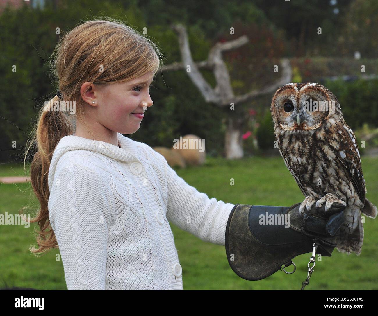 Kind Isabelle am Faltenhof Potsdam mit gelbbrauner Eule Undine Stockfoto