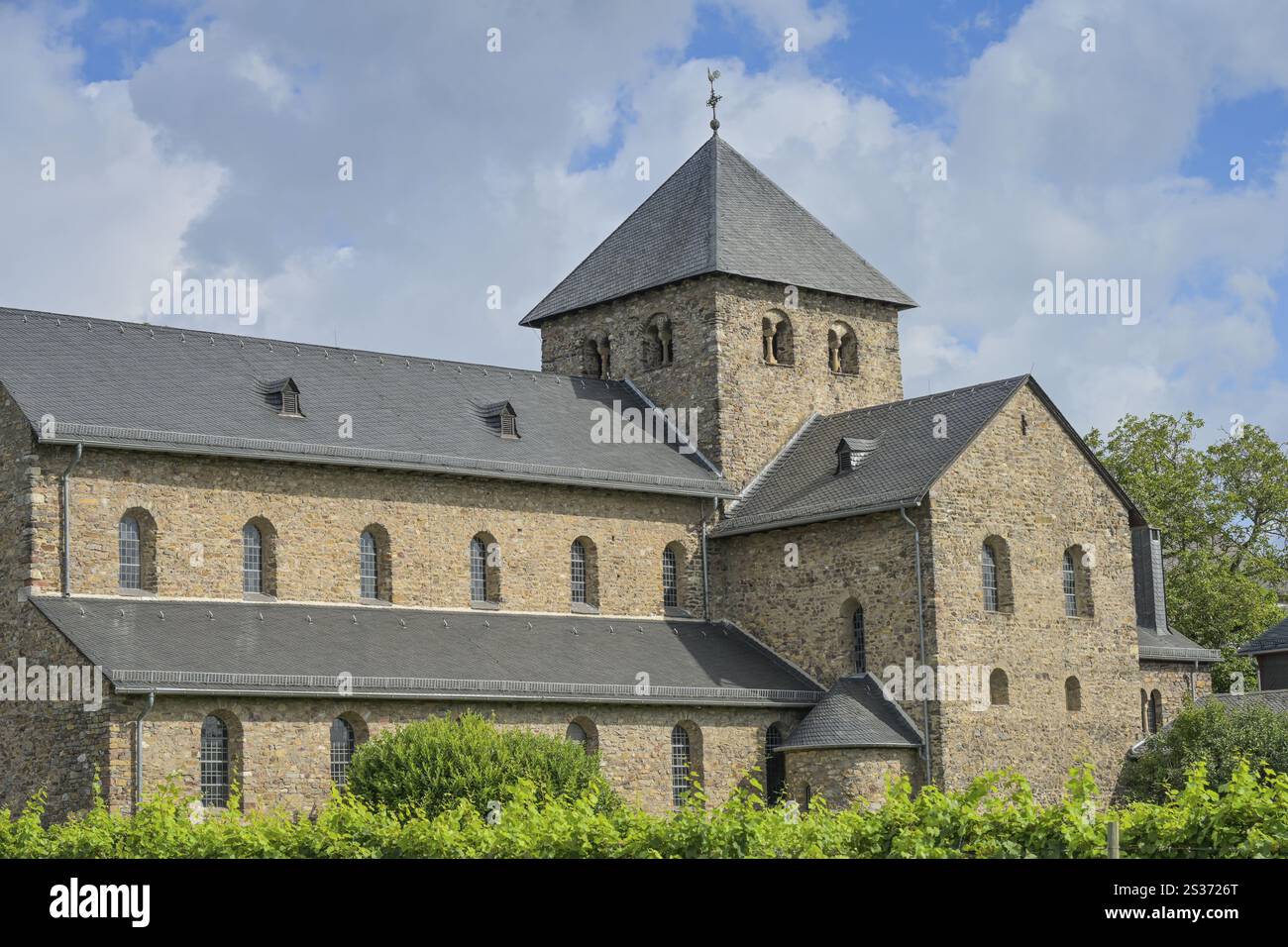Basilika St Aegidius Mittelheim, Oestrich-Winkel, Rheingau-Taunus, Hessen, Deutschland Europa Stockfoto