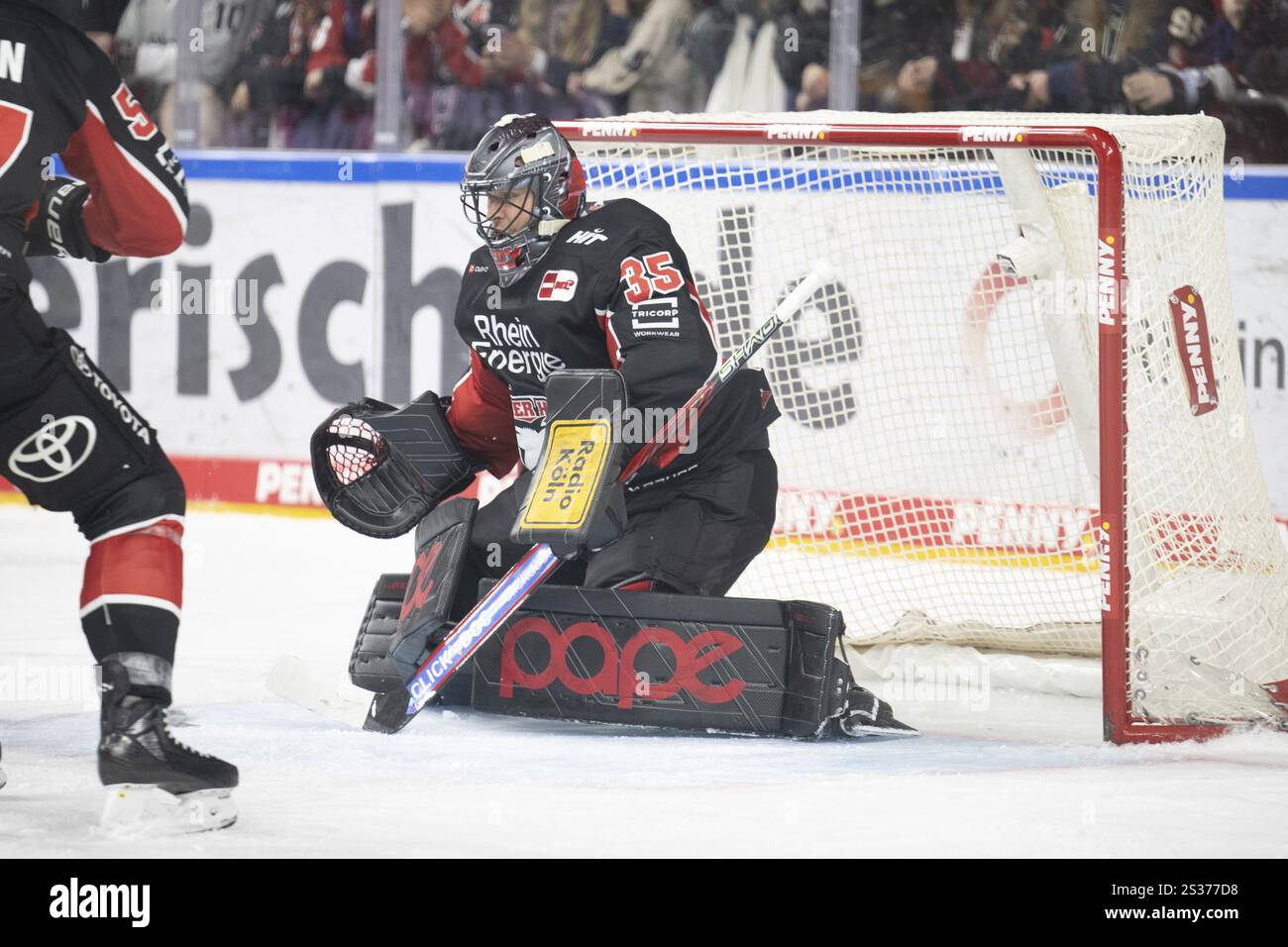 Köln, LanxessArena, Nordrhein-Westfalen, Julius Hudacek (Cologne Sharks, #35), PENNY DEL, Cologne Sharks- Eisbaeren Berlin am 01/2025 Stockfoto