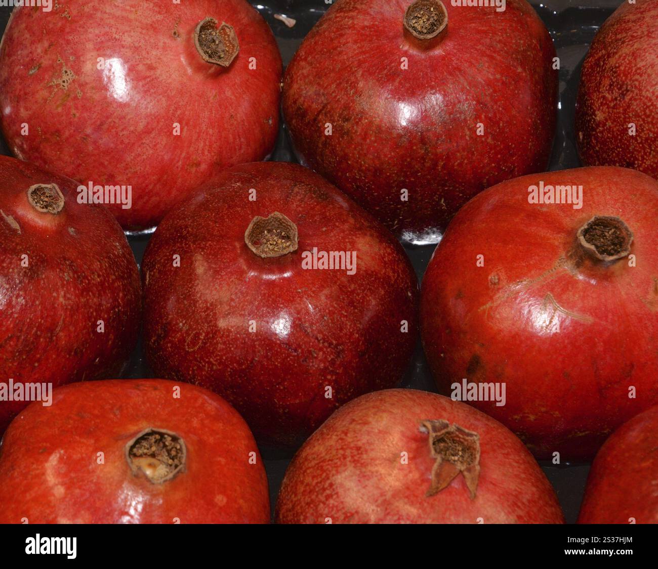 Granatäpfel auf der Leitmesse des internationalen Obsthandels Fruit Logistica Stockfoto