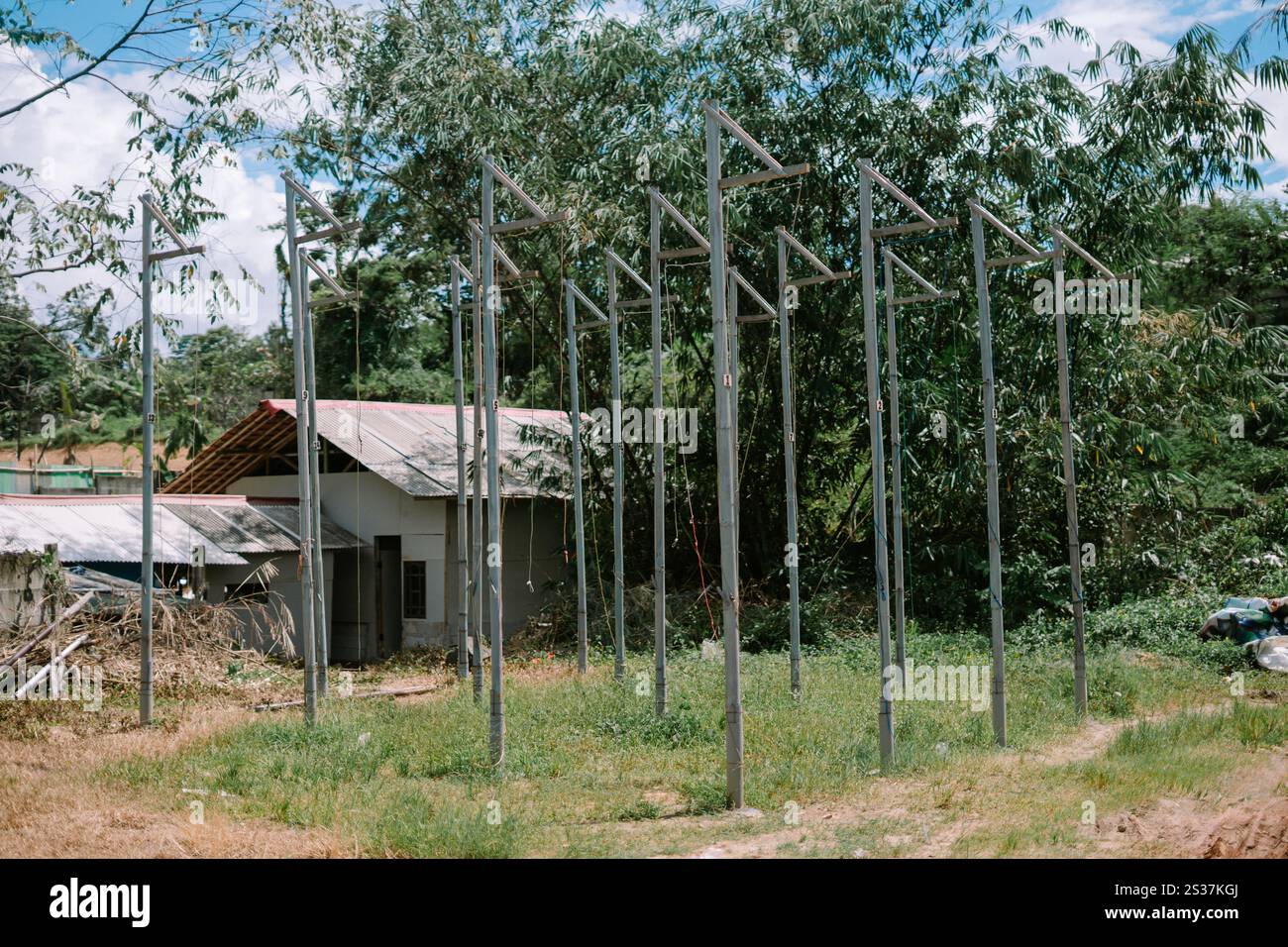 Ein einladender Barsch für Vogelnester, eingebettet zwischen Bäumen. Stockfoto