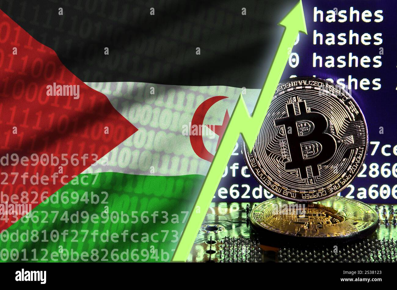 Westsahara-Flagge und aufsteigender grüner Pfeil auf Bitcoin-Mining-Bildschirm und zwei physische goldene Bitcoins. Konzept der hohen Konvertierung in Kryptowährung Stockfoto
