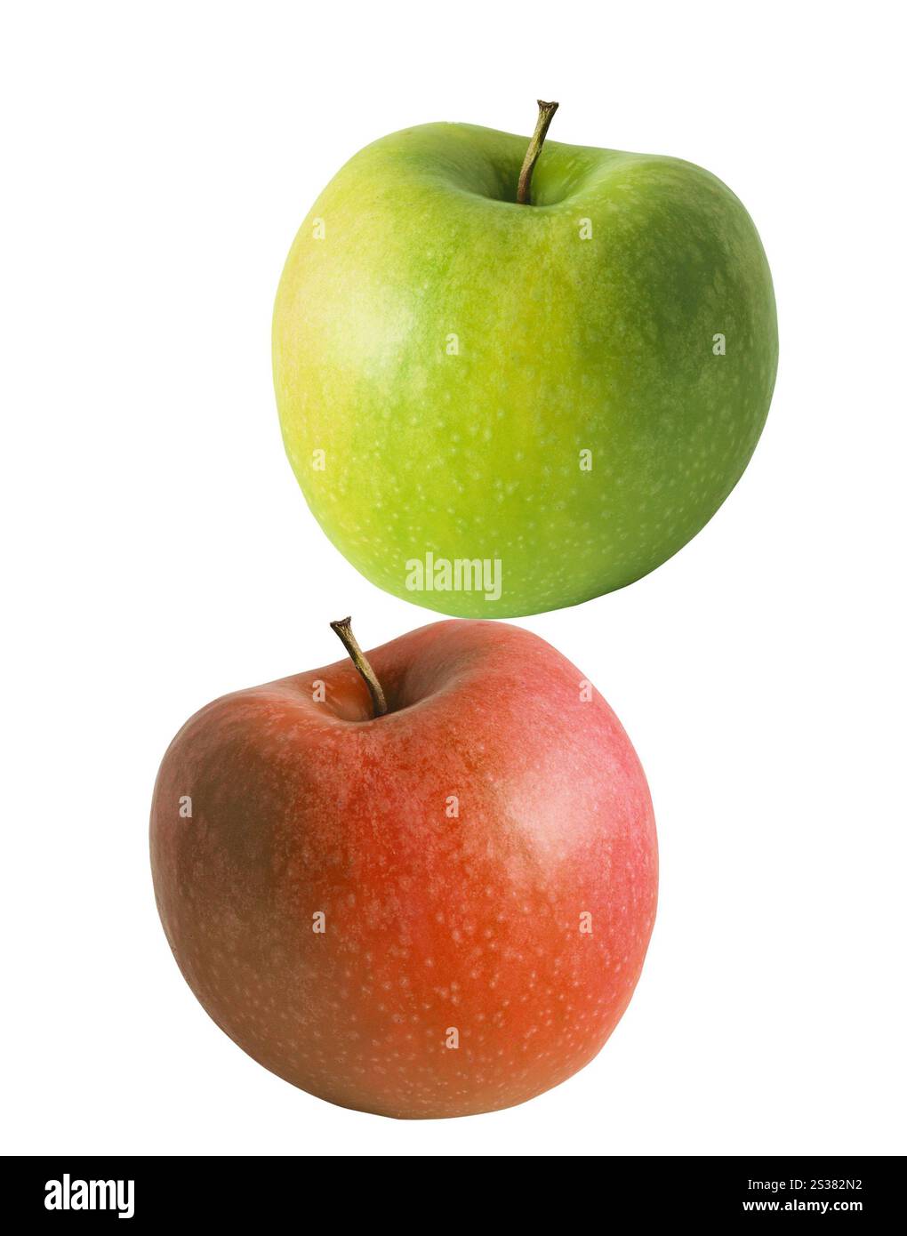 Grüne und rote Äpfel isoliert auf weiß. Grüne und rote Äpfel Stockfoto