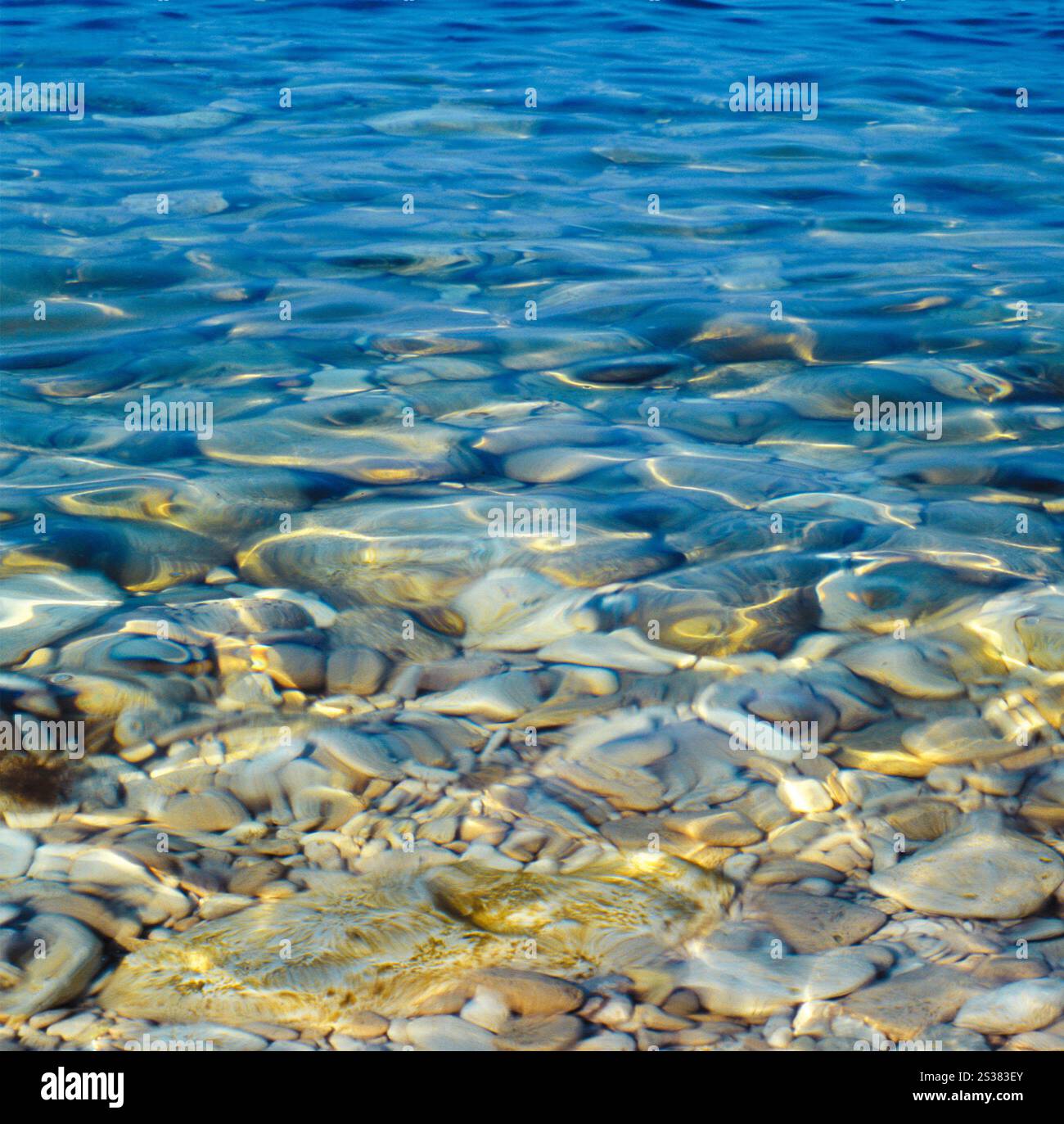 Tropisches Meer Hintergrund aus nächster Nähe Stockfoto