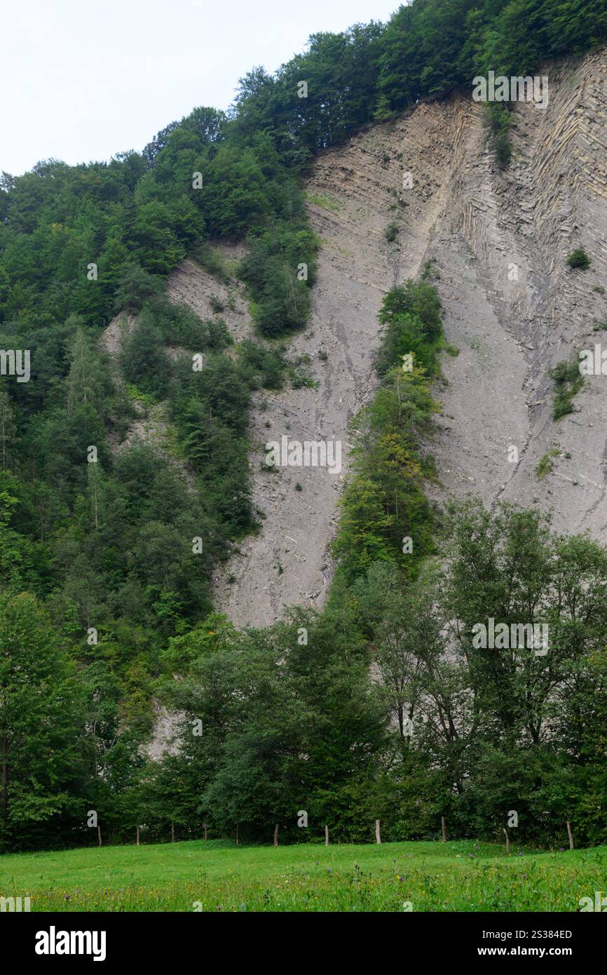 Klippe mit vertikalem Waldfoto bedeckt. Die Klippe ist mit Wald bedeckt Stockfoto