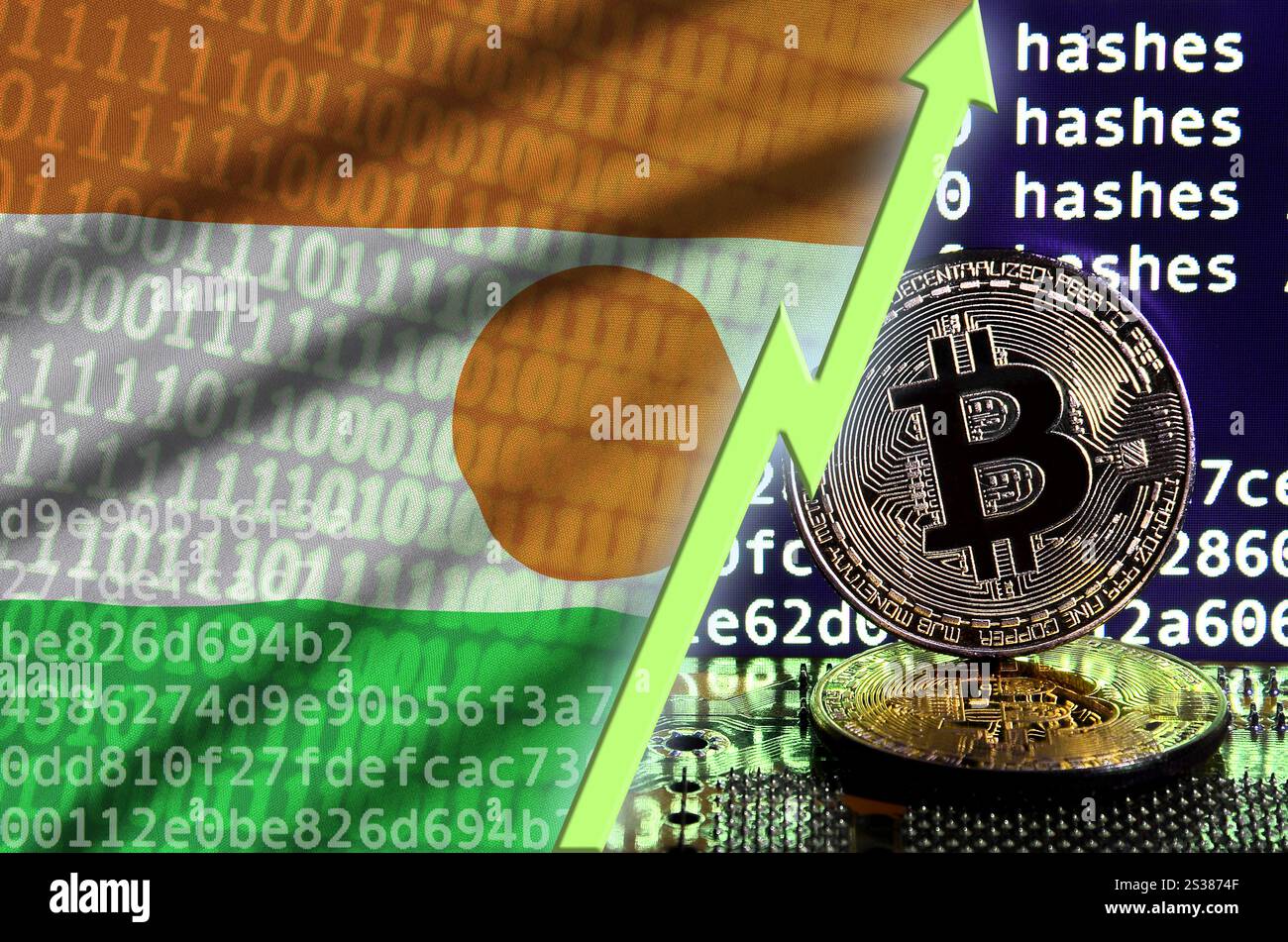 Niger-Flagge und aufsteigender grüner Pfeil auf Bitcoin-Mining-Bildschirm und zwei physische goldene Bitcoins. Konzept der hohen Konvertierung im Kryptowährungs-Mining. Stockfoto