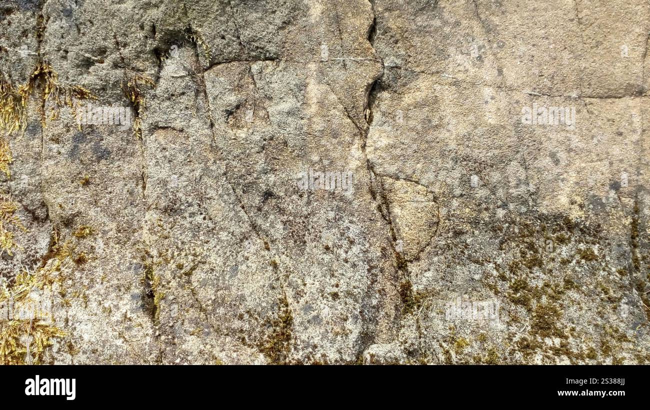 Alte graue Steinstruktur mit Rissen und Kratzern Stockfoto