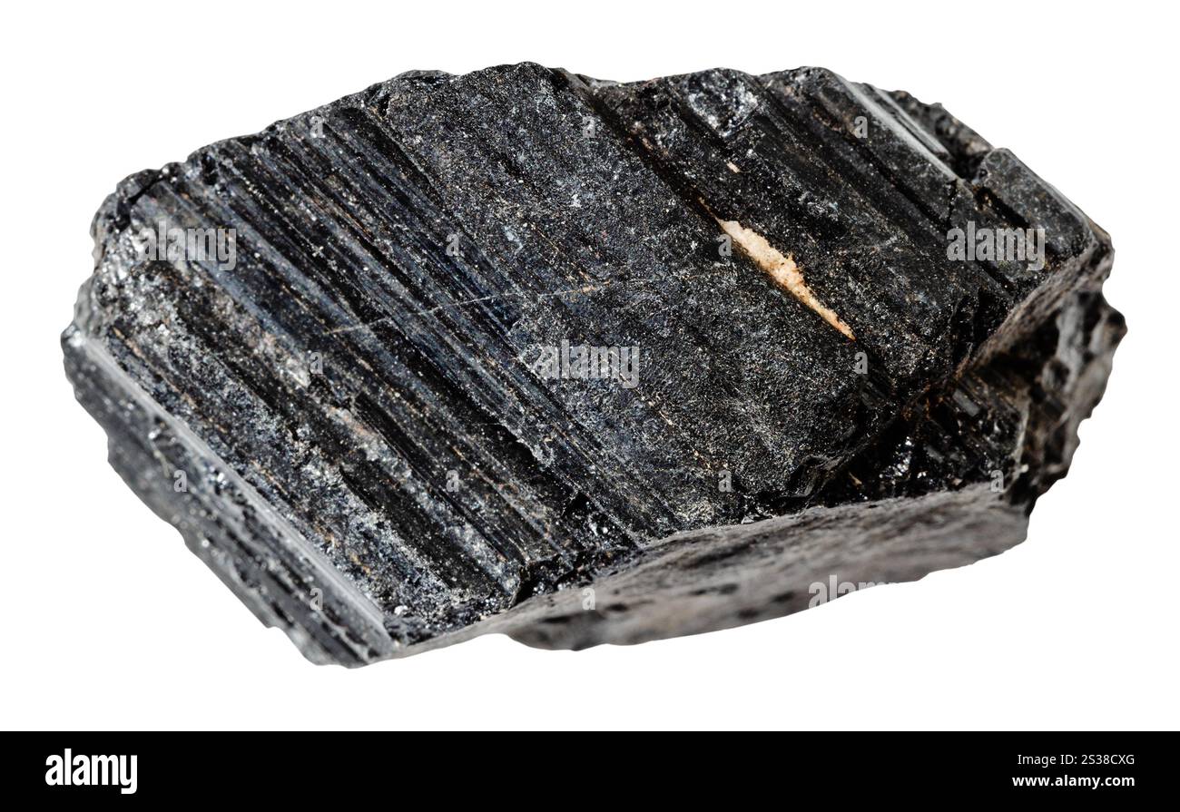Nahaufnahme der Probe von Naturstein aus geologischer Sammlung - roher schwarzer Turmalin (Schorl) Mineral isoliert auf weißem Hintergrund Stockfoto