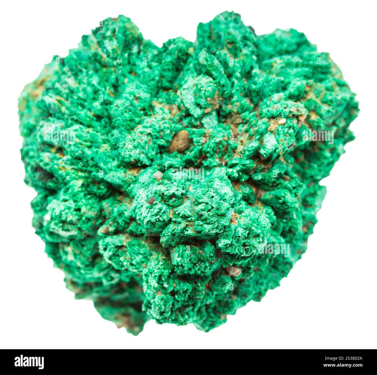 Nahaufnahme der Probe von Naturstein aus geologischer Sammlung - unpolierte Truse von Malachitmineral isoliert auf weißem Hintergrund aus Kasachstan Stockfoto