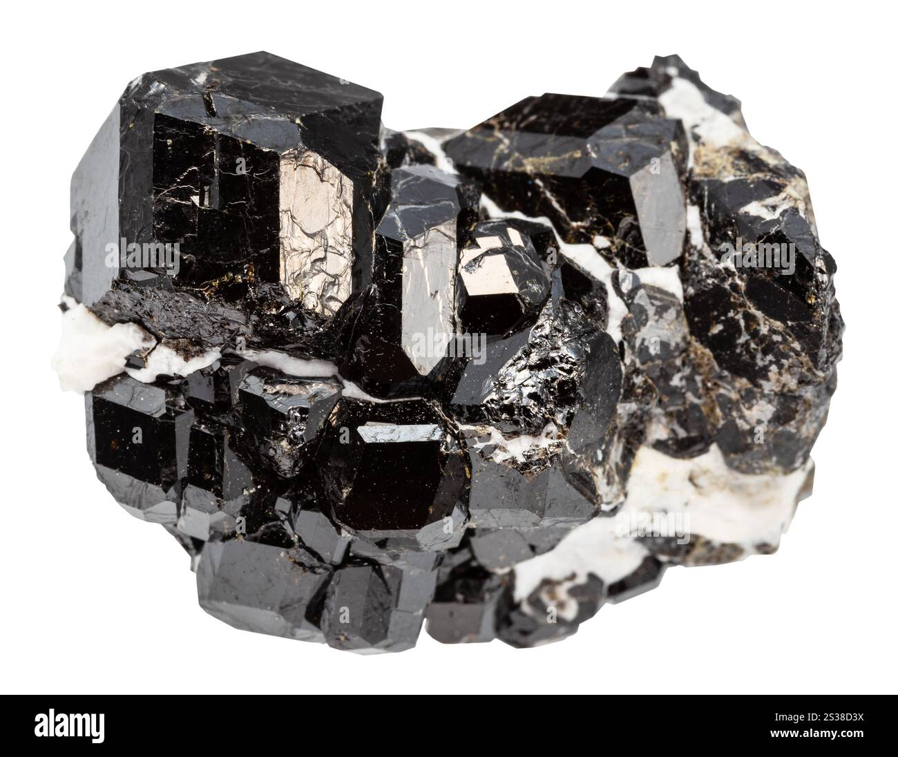 Nahaufnahme der Probe des Natursteins aus der geologischen Sammlung - Druse von Melanit und Radit schwarzen Granaten isoliert auf weißem Hintergrund von Stockfoto