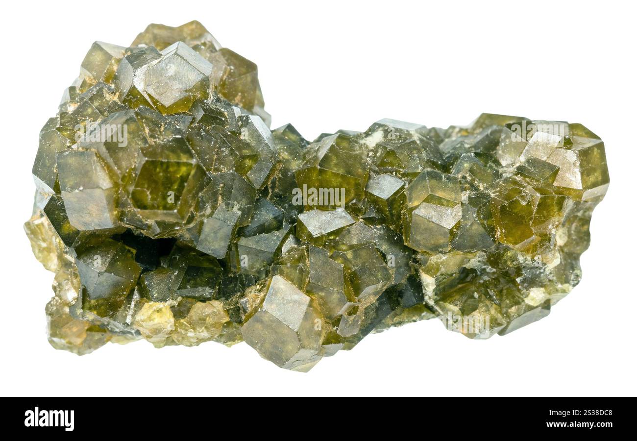 Nahaufnahme der Probe des Natursteins aus der geologischen Sammlung - unpolierte Drusse aus grünen andraditen Granatkristallen isoliert auf weißem Hintergrund Stockfoto