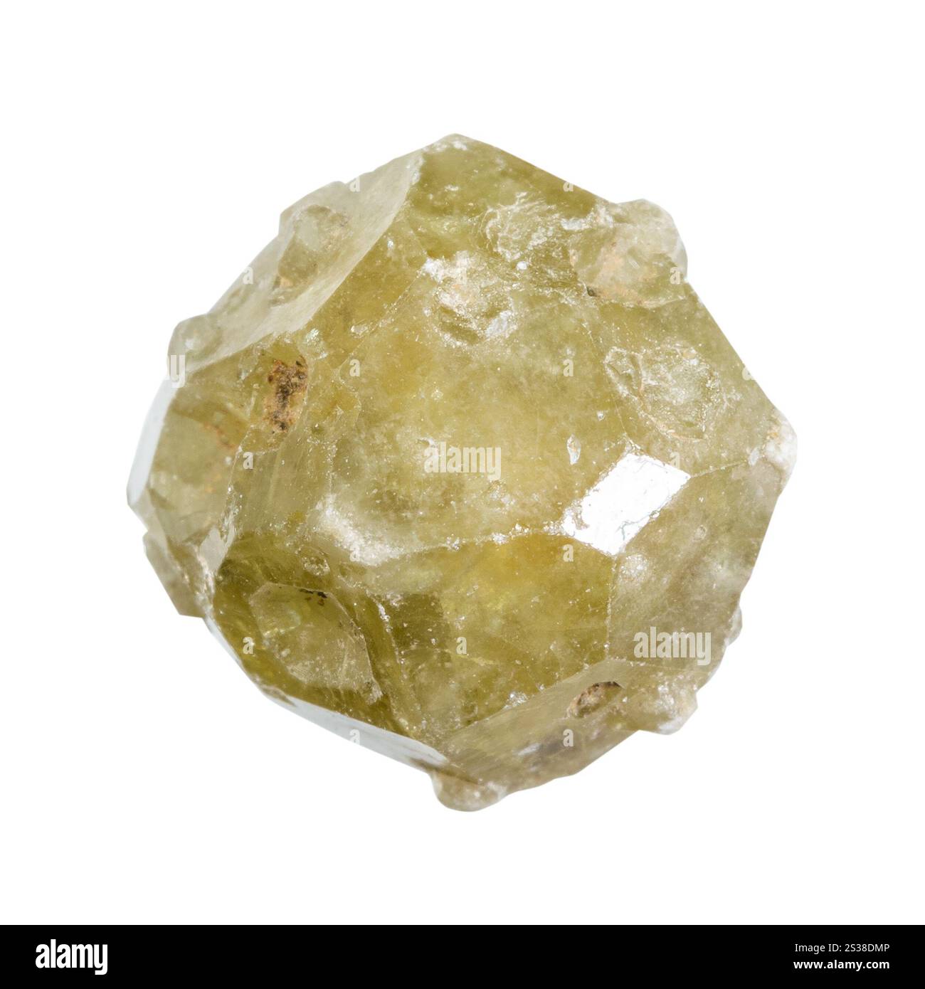 Nahaufnahme einer Probe von Naturstein aus geologischer Sammlung - grüner grossförmiger Granatkristall mit Wucherungen isoliert auf weißem Hintergrund aus dem Ural Stockfoto