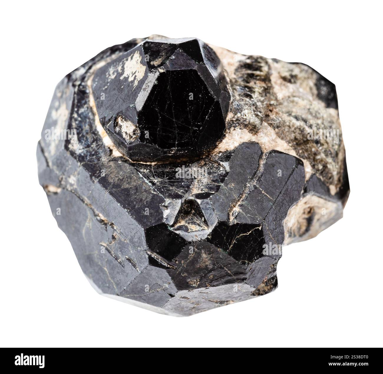 Nahaufnahme der Probe von Naturstein aus der geologischen Sammlung - ungeschnittener schwarzer Spinellkristall auf schwarzer Diopsidmatrix auf weißem Hintergrund Stockfoto