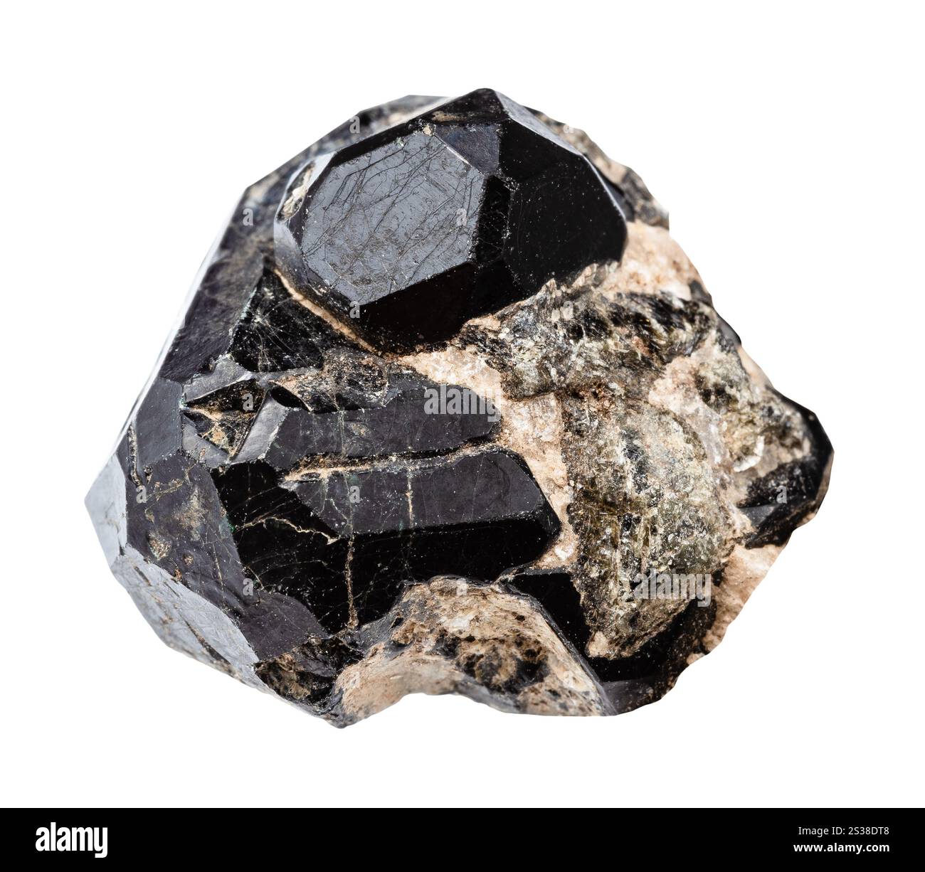 Nahaufnahme der Probe von Naturstein aus der geologischen Sammlung - roher schwarzer Spinellkristall auf schwarzen Diopsiden, die auf weißem Hintergrund gesättigt sind Stockfoto